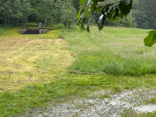 Fronleichnam_Wiese